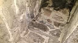 acastle
                          101010.jpg